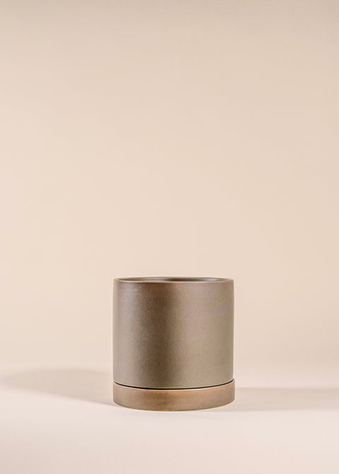 Pot vert mousse Romey