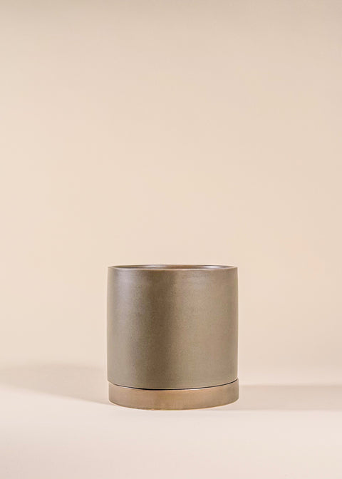 Pot vert mousse Romey