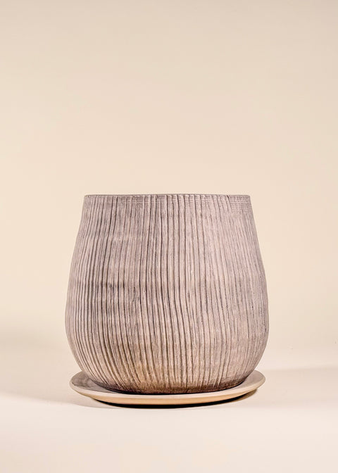 Pot gris Holt