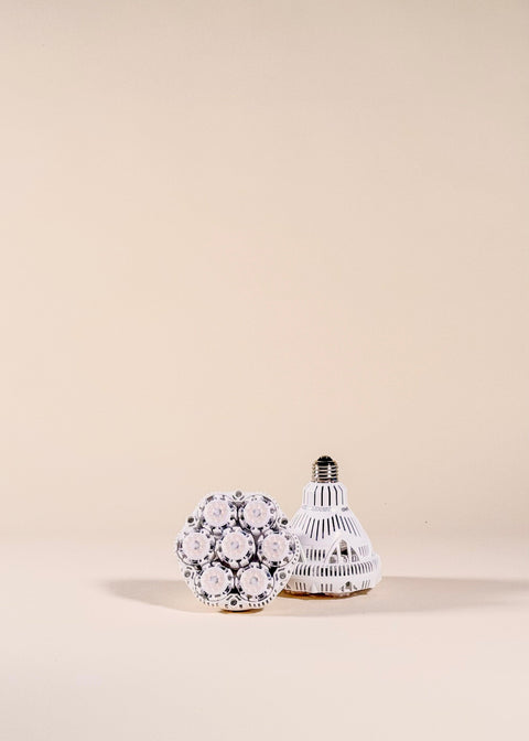 Lampes de croissance