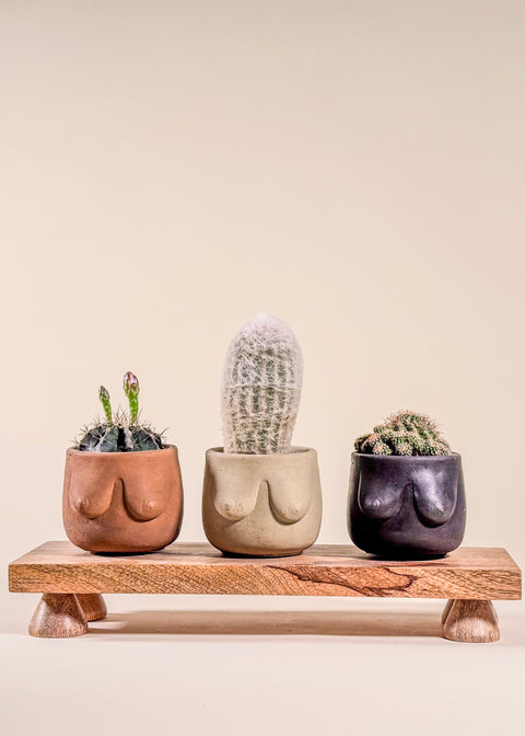 V2 Tous nos pots et accessoires