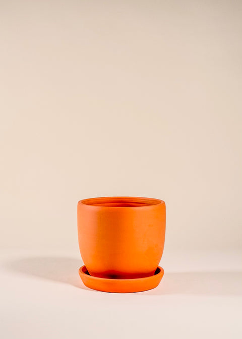 Pot terra cotta Baden