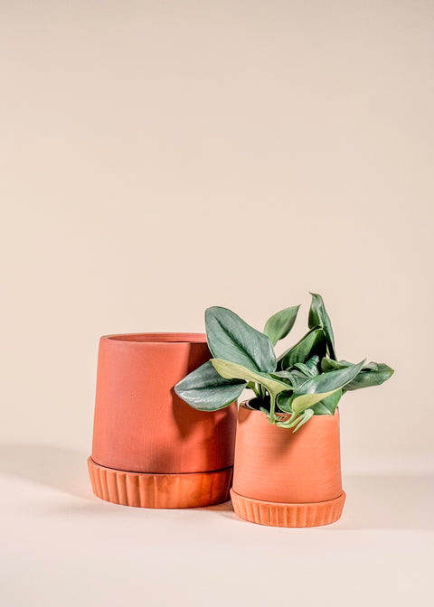 Pot terra cotta Kadin