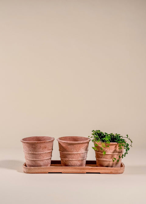 Pot terracotta Siena