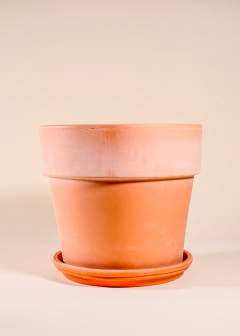 Pot terra cotta blanchi Calima