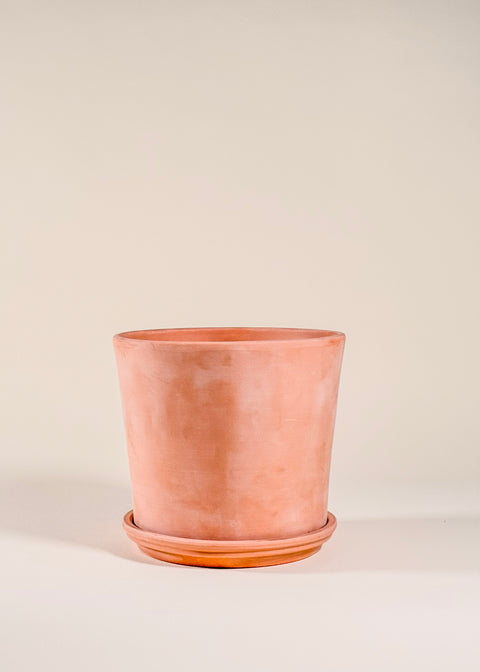 Pot terra cotta blanchi Cono