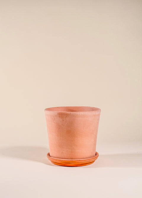 Pot terra cotta blanchi Cono