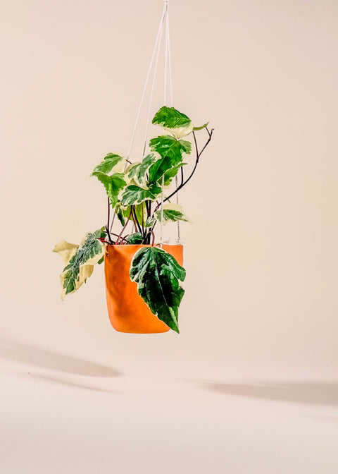Pot suspendu terra cotta