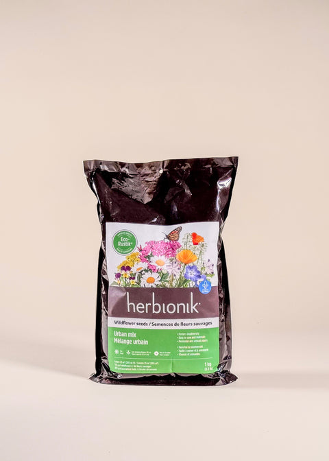 Mélange de semences Urbain par Herbionik
