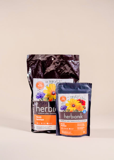 Mélange de semences Bucolique par Herbionik