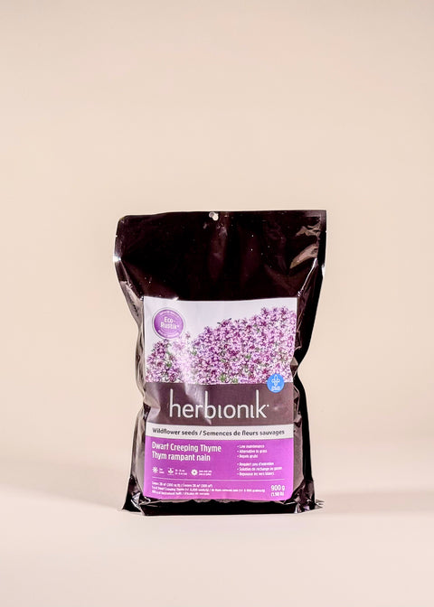 Semences de thym rampant nain par Herbionik