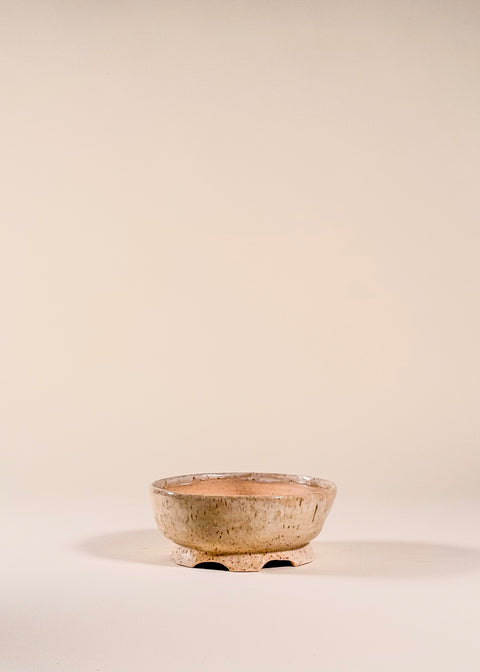 Pot à bonsai beige lustré par Anne Rose Gorroz