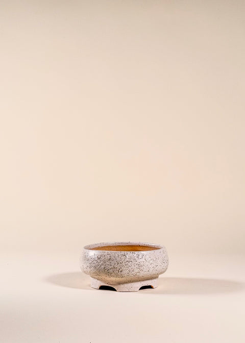 Pot à Bonsai beige texturé par Anne rose Gorroz