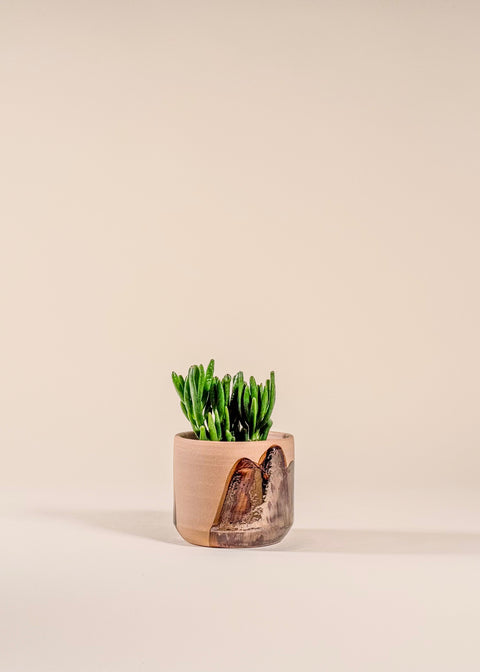 Pot terra cotta et bronze `brushstroke`