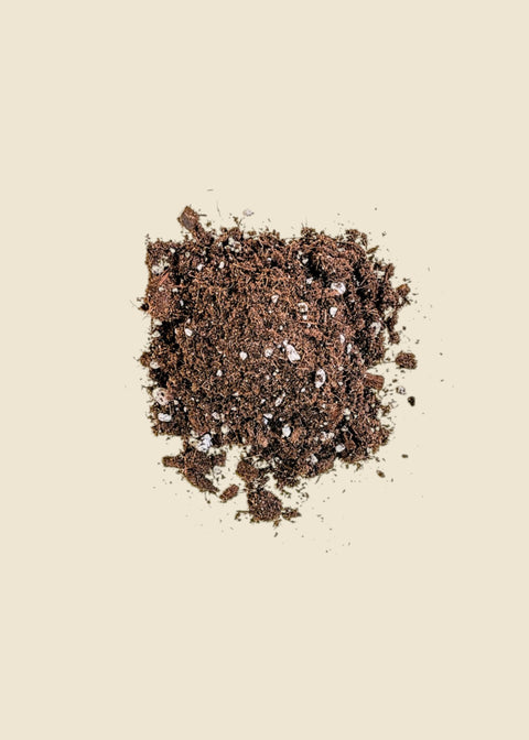 Terreau tropical premium