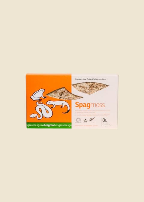 Mousse de sphaigne Spagmoss par Besgrow