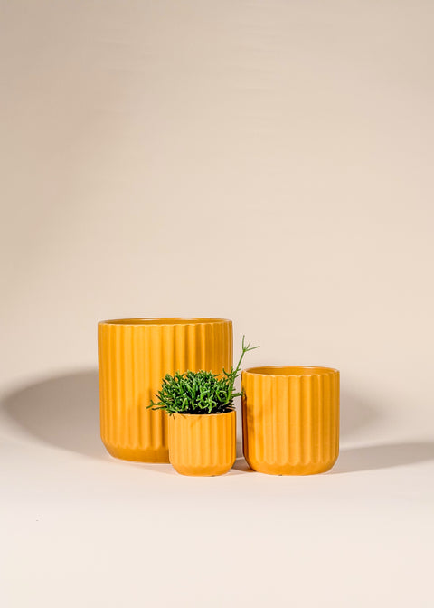 Pot jaune Beam