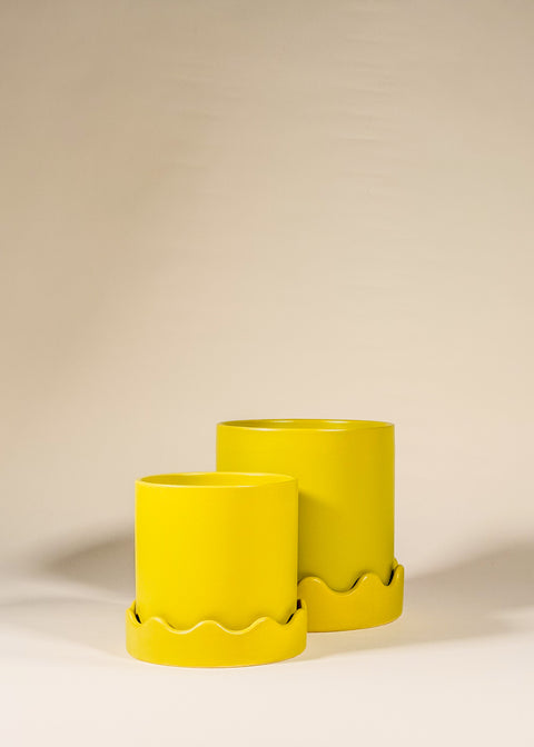Pot Jaune Pissaro