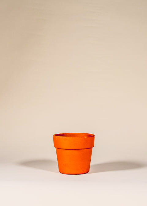 Pot terracotta Perfetto par Deroma