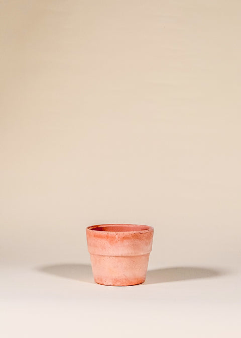 Pot terracotta blanchi Perfetto