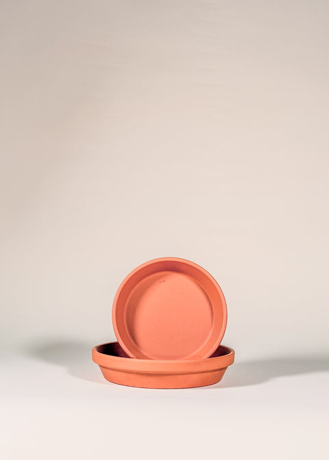 Soucoupe terra cotta par Spang