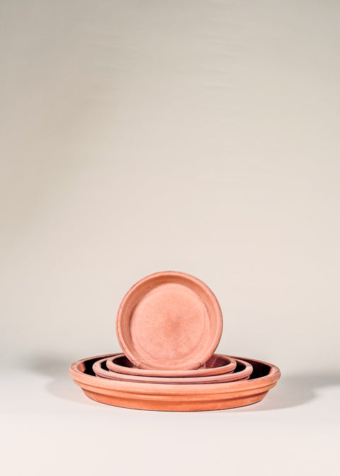 Soucoupe terra cotta blanchie