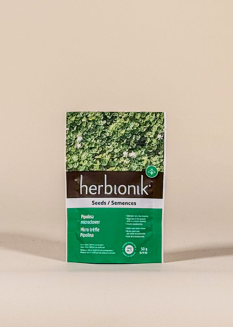 Semences micro trèfle Pipolina par Herbionik