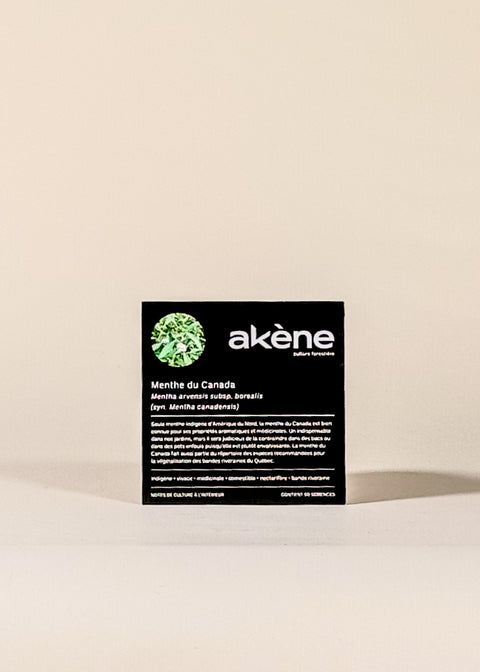 Semences Menthe du Canada par Akène