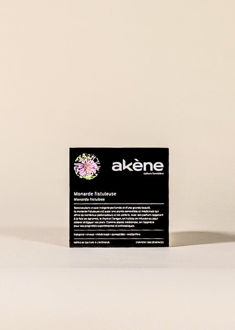 Semences Monarde fistuleuse par Akène