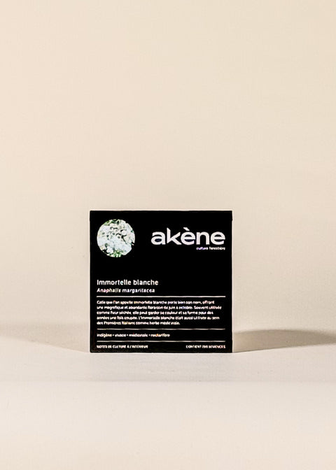 Semences Immortelle blanche par Akène