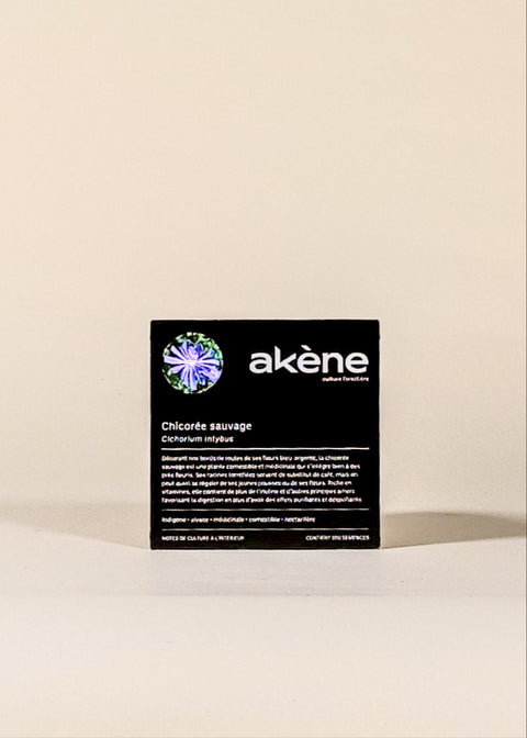 Semences Chicorée sauvage par Akène