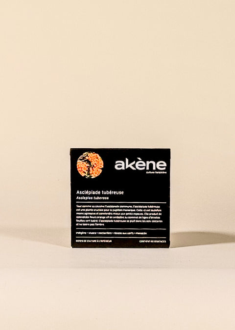 Semences Asclépiade incarnate par Akène