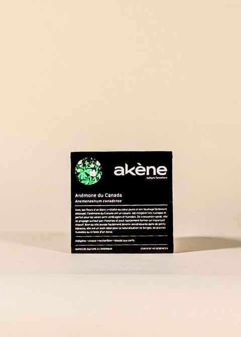 Semence Anémone du Canada par Akène