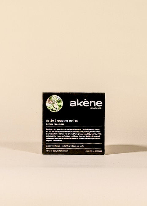 Semences Actée à grappes noires par Akène