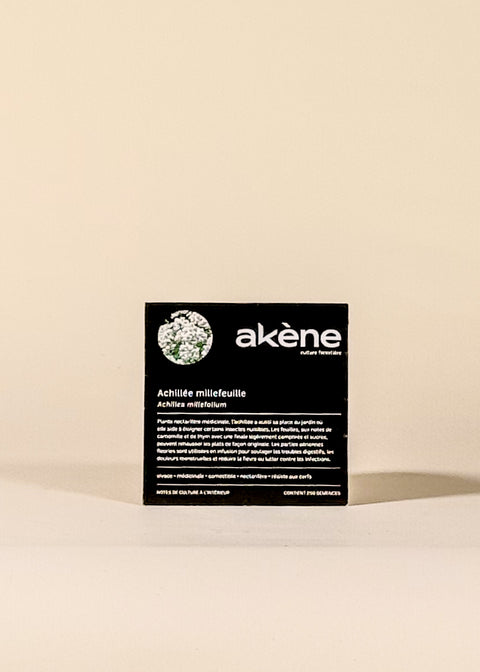 Semences Achillée millefeuille par Akène