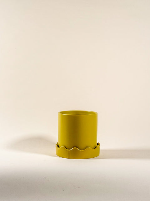 Pot Jaune Pissaro